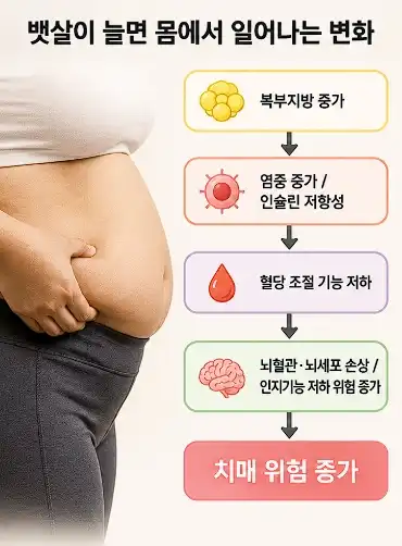 뱃살로 인한 몸의 변화