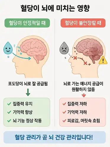 혈당이 뇌에 미치는 영향