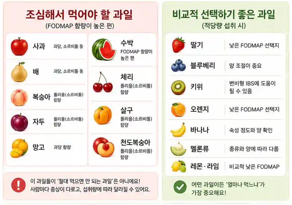 IBS 좋은과일