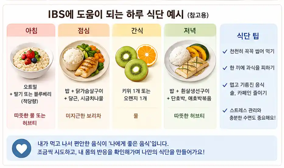 IBS 하루식단