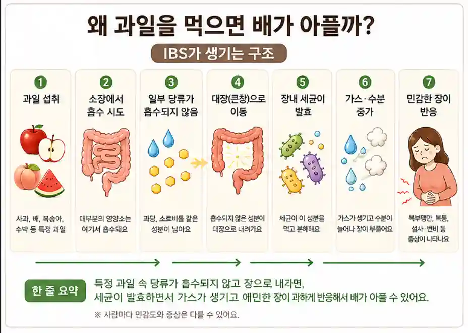 왜 과일을 먹으면 배가 아플까?