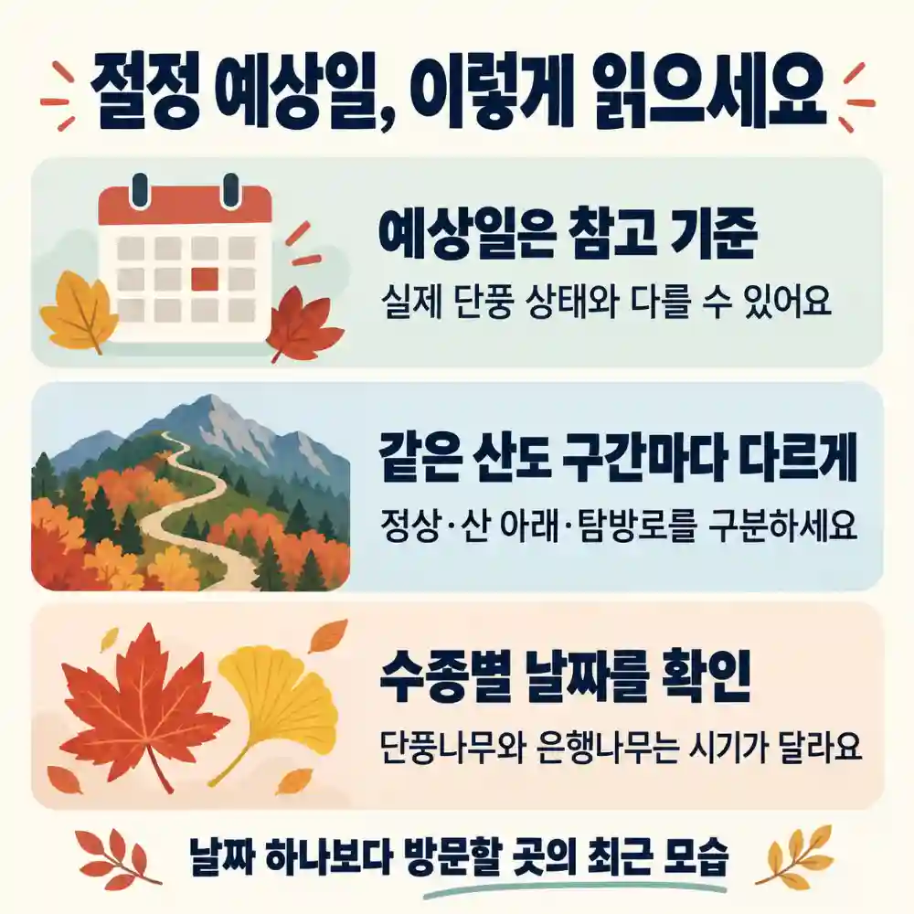 단풍 절정 예상일 읽는 법